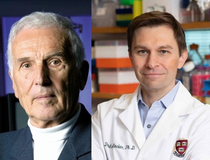 Sinclair vs Garattini una sfida tra culture e generazioni