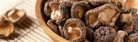 Shiitake: Panoramica Sintetica e Stato dell'Arte